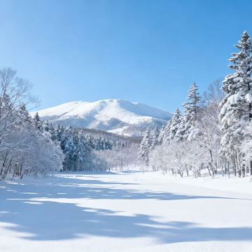 日本北海道札幌+层云峡+富良野+钏路+网走10日9晚拼小团