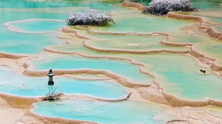 6-Day Chongqing + Chengdu Group Tours: Panda+Jiuzhaigou + Huanglong National Scenic Area