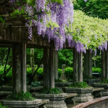 南京+夫子庙+牛首山文化旅游区4日3晚私家团