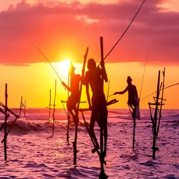 斯里兰卡9日7晚跟团游