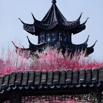 盐城中华麋鹿园+梅花湾+梦幻迷宫3日2晚自由行