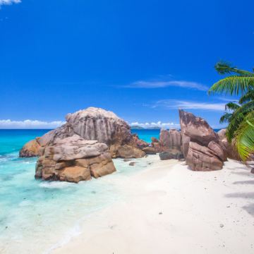 马达加斯加+塞舌尔15日13晚私家团