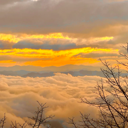 中国云南昆明+云南哀牢山国家级自然保护区+普洱+西双版纳8日7晚自由行