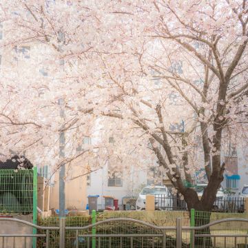 韩国济州岛5日4晚私家团
