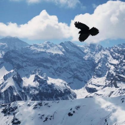 日内瓦+蒙特勒+伯尔尼+施皮茨+因特拉肯+少女峰+卢塞恩+苏黎世11日10晚拼小团