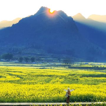 贵州兴义+万峰林景区+马岭河峡谷景区2日1晚自由行