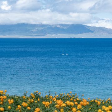 新疆伊犁+那拉提旅游风景区+赛里木湖5日4晚拼小团