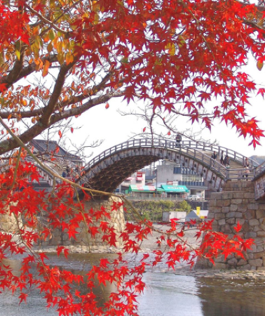 7 วัน 5 คืน • UNSEEN YAMAGUCHI SHIKOKU OSAKA AUTUMN โดยสายการบินไทย (TG)
