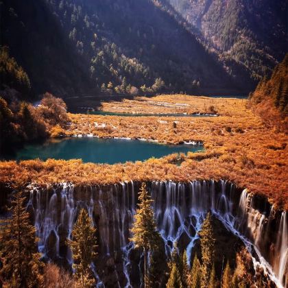 成都+九寨沟风景区+黄龙风景名胜区+峨眉山+乐山大佛+成都大熊猫繁育研究基地+三星堆博物馆8日7晚跟团游