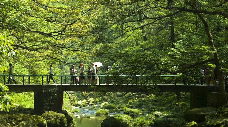 张家界+天门山+武陵源+大峡谷5日4晚拼小团·獨賈玩法·8人超V小团&5大VIP免排队&三大特色餐·50元餐标|张家界连住2晚青和/铂尔曼+市区希尔顿！！【袁家界/黄石寨|玻璃栈道/玻璃桥|7455米索道】+土家三下锅+赠航拍VLOG