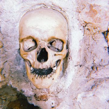 塞尔维亚贝尔格莱德圣萨瓦教堂+诺维萨德伏伊伏丁那博物馆+尼什骷髅塔3日2晚私家团