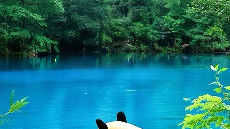 川西高端定制旅行社五强推荐