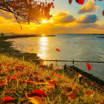 韩国济州特别自治道5日4晚自由行