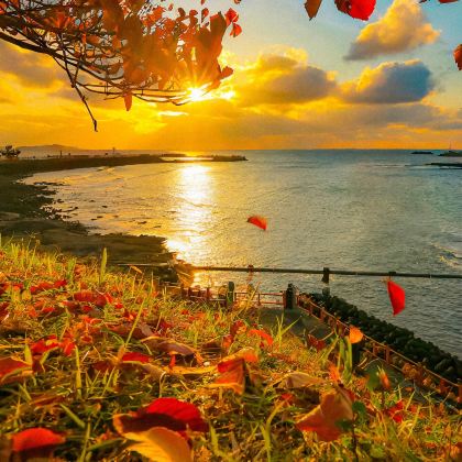 韩国济州特别自治道5日4晚自由行