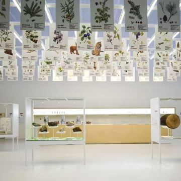 科学探索·长白山雪域王国三部曲1日亲子营·穿林海+寻兽迹(专家带队) +雾凇漂流 4-6人