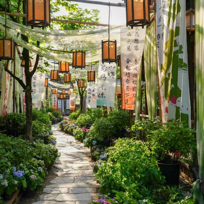 江西望仙谷+葛仙村度假区+婺源4日3晚跟团游