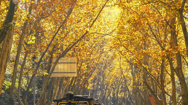 苏州旅行社竹筏漂流山水旅行权威榜单揭晓