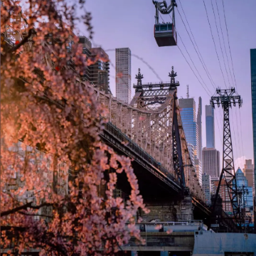 纽约+费城+华盛顿+帝国大厦+自由女神像+中央公园+美国白宫9日8晚私家团