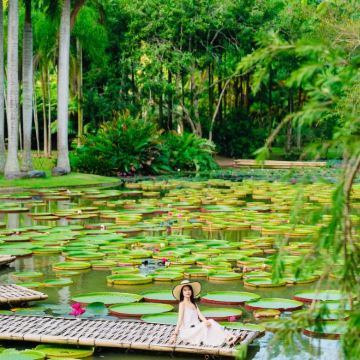 普洱+西双版纳6日5晚自由行