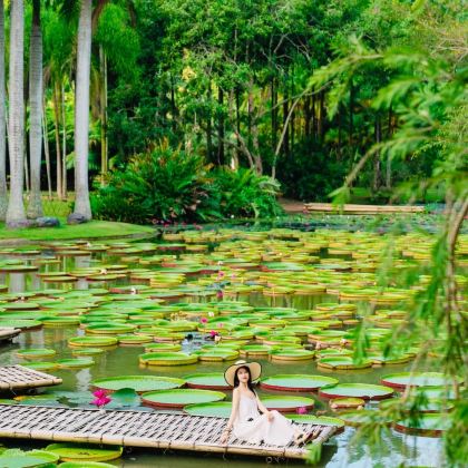 普洱+西双版纳6日5晚自由行