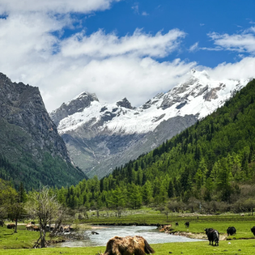 牛背山+色达+四姑娘山景区5日4晚私家团
