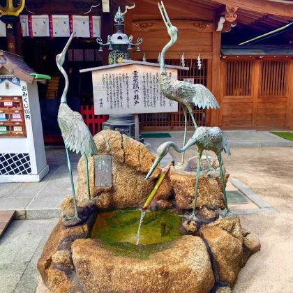 日本九州+熊本市+别府+黑川温泉+鹿儿岛市+宫崎市12日11晚拼小团