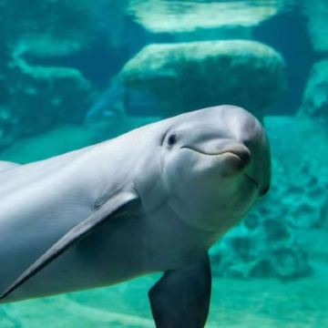 美国亚特兰大+华盛顿+纽约9日8晚私家团