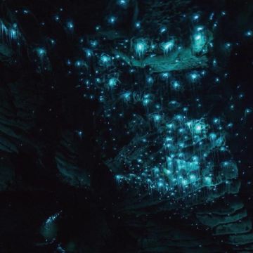 新西兰奥克兰+陶波+罗托鲁瓦+基督城+特卡波+瓦纳卡+皇后镇11日10晚私家团