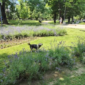 塞尔维亚+波黑+黑山6日5晚拼小团