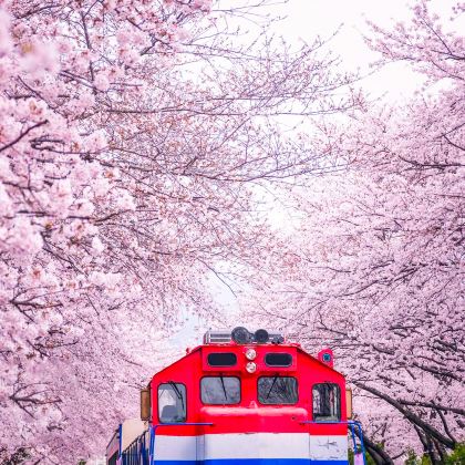 韩国首尔4日3晚跟团游