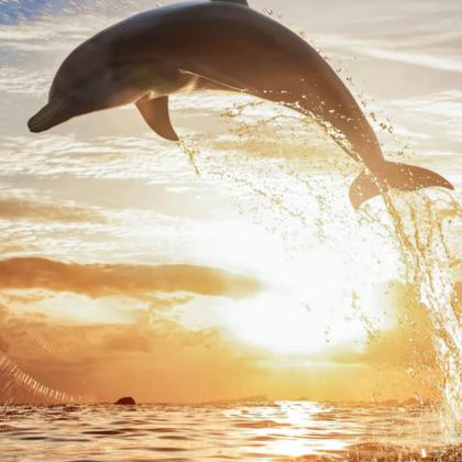 巴厘岛5日4晚私家团