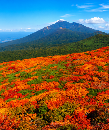 4天3晚 • 【仙台出發】奧入瀨＆十和田湖＆八幡平＆中尊寺＆松島＆銀山溫泉