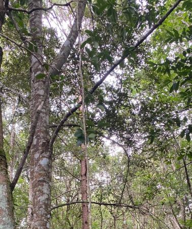 2D1N • Chiang Mai: Authentic Trek 2 Days, NON-TOURIST Area 100%