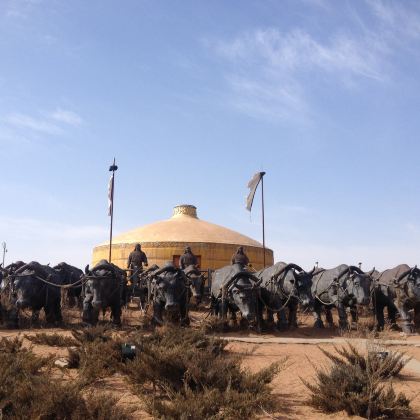 呼和浩特+希拉穆仁草原+响沙湾6日5晚跟团游