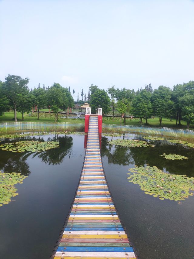 上海崇明荷花博览园旅行图片 3