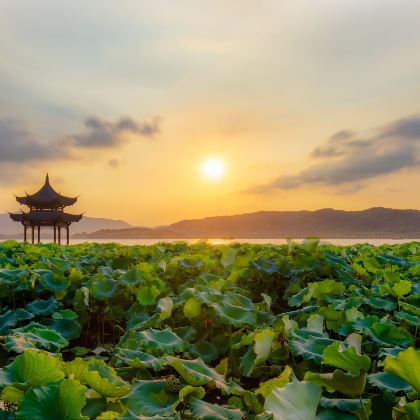 上海+南京+苏州+杭州+乌镇6日5晚跟团游