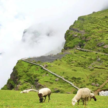 云南昭通+大山包景区+盐津4日3晚私家团