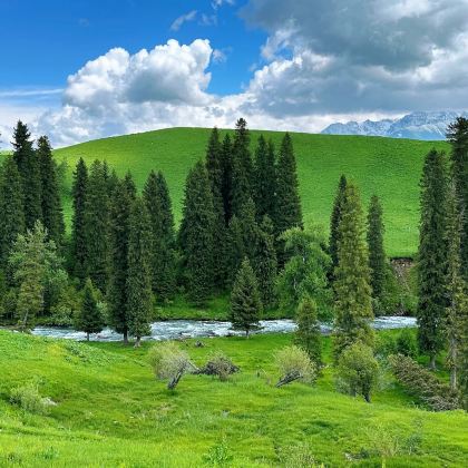 新疆乌鲁木齐+北疆8日7晚私家团