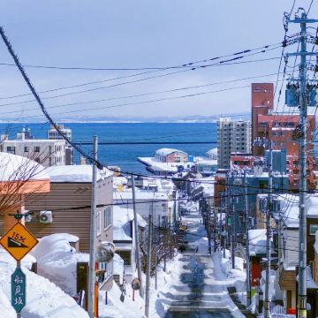 日本北海道札幌+小樽+登别+富良野+洞爷湖7日6晚私家团