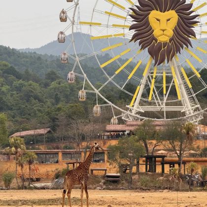 清远长隆度假区+古龙峡2日1晚拼小团