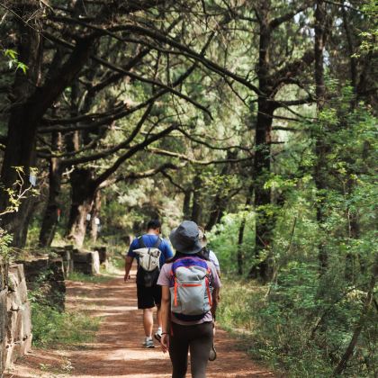 剑门关+剑门蜀道+翠云廊+千佛崖+皇泽寺+金牛道拦马墙5日4晚跟团游