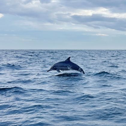 斯里兰卡7日6晚私家团