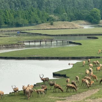 凤城河风景区+泰州老街+古光孝寺+江苏盐税博物馆+溱湖国家湿地公园+溱潼古镇2日1晚私家团