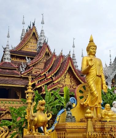 4D3N • Xishuangbanna: Rainforest trekking & rubber tapping experience + Manting Park photoshoot + floating afternoon tea + Mekong River Night Bonfire Party VIP seating