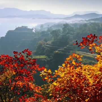 河南安阳+殷墟+太行大峡谷景区+红旗渠4日3晚拼小团