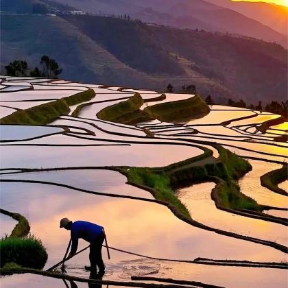 云南昆明+抚仙湖+建水+普者黑风景区+弥勒+石林6日5晚拼小团