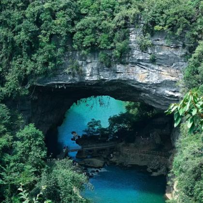 桂林+柳州+阳朔+龙脊梯田5日4晚私家团