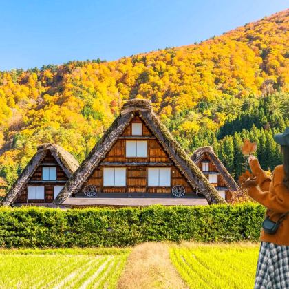 日本名古屋+大阪+京都+奈良6日5晚跟团游