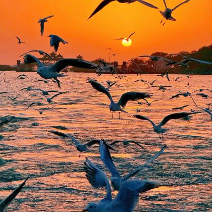 无锡+清名桥古运河景区+无锡市太湖鼋头渚风景区4日3晚私家团