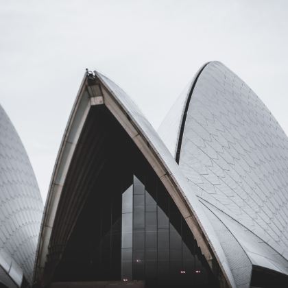 澳大利亚悉尼8日6晚私家团